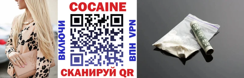 хочу наркоту  Великий Устюг  MEGA   Cocaine Fish Scale 