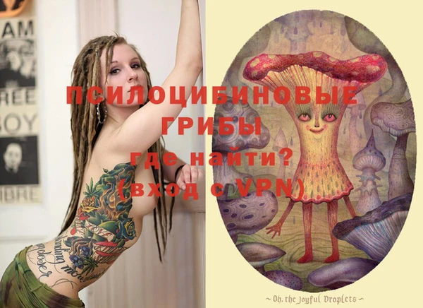 PSILOCYBIN Дмитровск