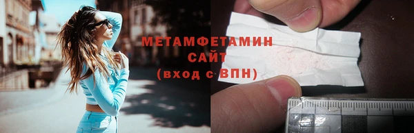 шишки Ельня