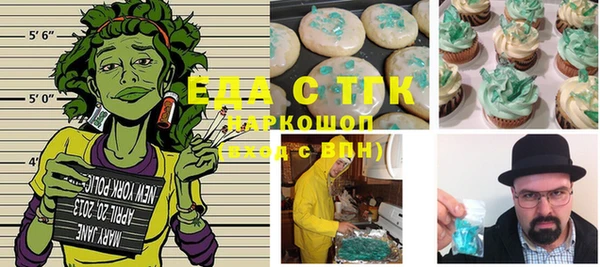 шишки Ельня