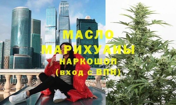 шишки Ельня