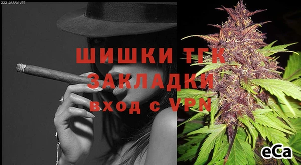 стаф Тихвин