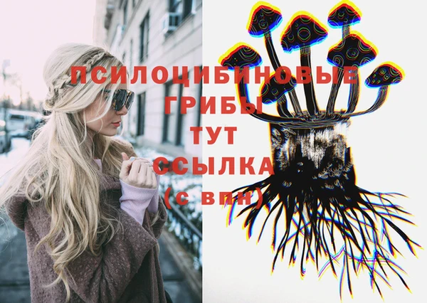 PSILOCYBIN Дмитровск
