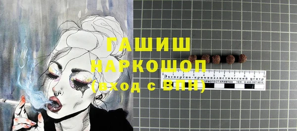 шишки Ельня
