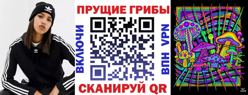 Псилоцибиновые грибы Psilocybine cubensis закладка Великий Устюг