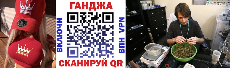 Каннабис сатива  Великий Устюг 